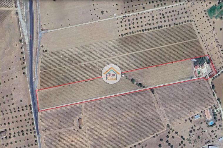 Quinta T4 para Venda em Redondo Foto 39