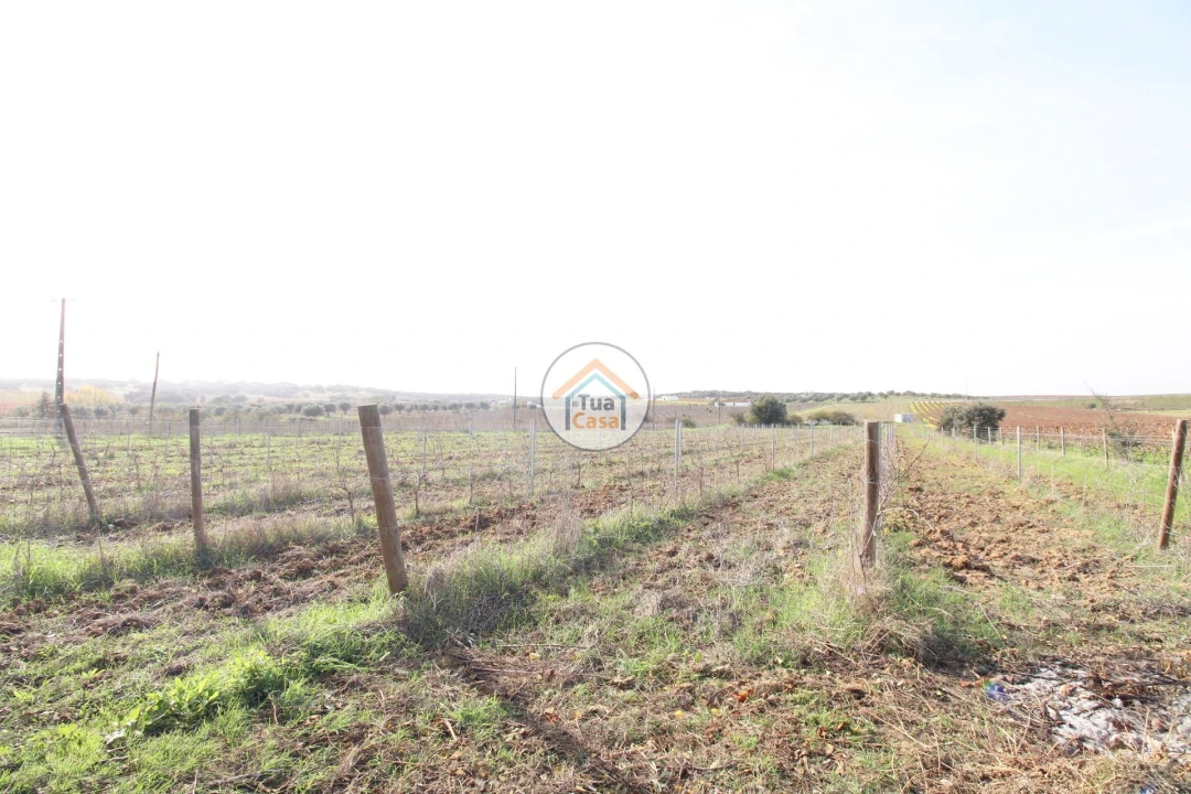 Quinta T4 para Venda em Redondo Foto 34