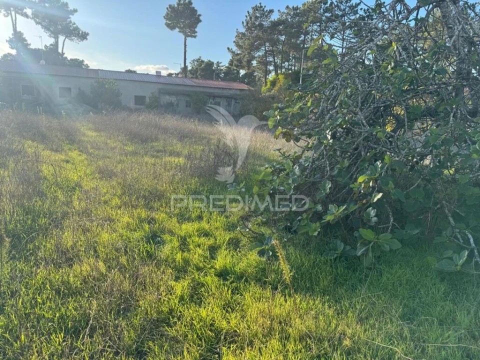 Terreno para Venda em Sesimbra (Castelo) Foto 2