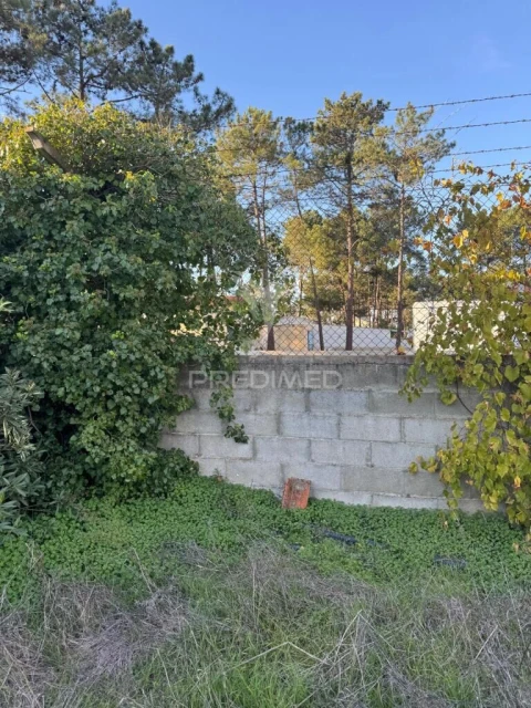 Terreno para Venda em Sesimbra (Castelo)