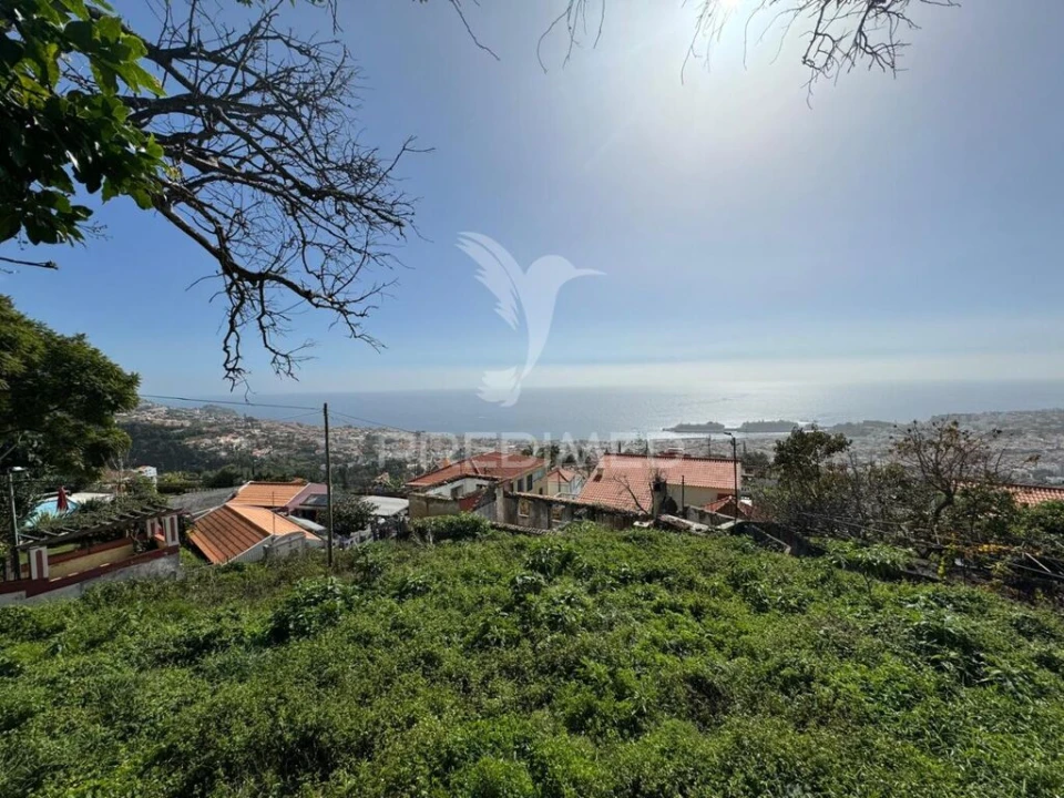 Moradia T3 para Venda em Monte Foto 4