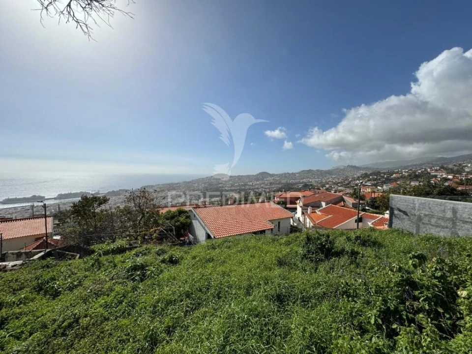 Moradia T3 para Venda em Monte Foto 11