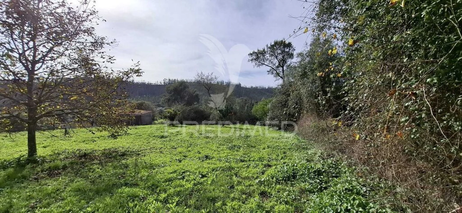 Terreno para Venda em Urqueira Foto 3