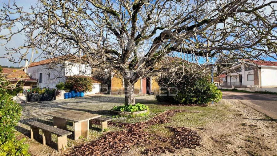 Moradia T2 para Venda em Serra de Santo Antonio Foto 10