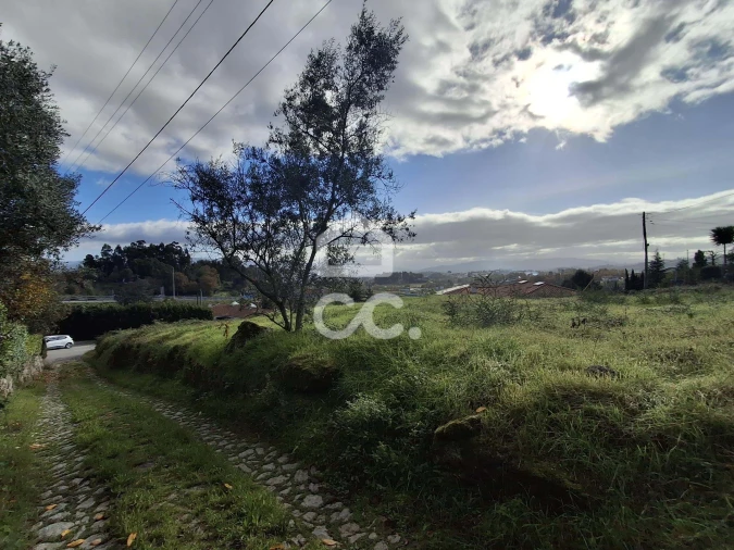 Terreno para Venda em Recezinhos (São Mamede) Foto 11
