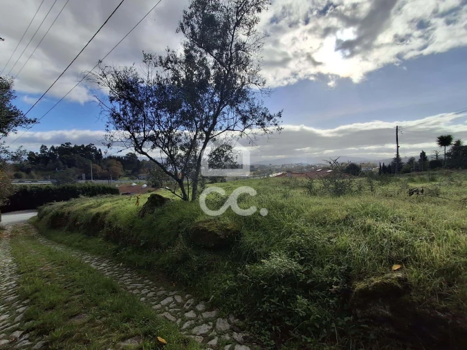 Terreno para Venda em Recezinhos (São Mamede) Foto 10