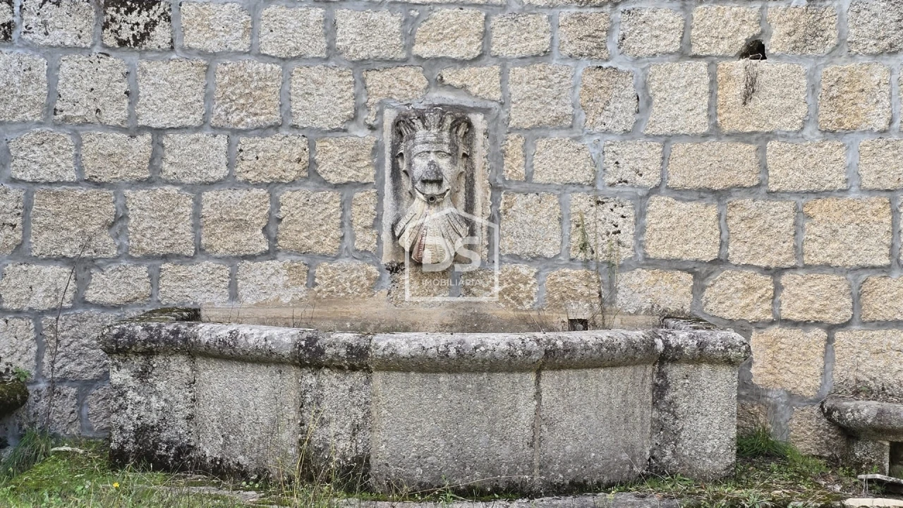 Negócio para Venda em Abrunhosa-A-Velha Foto 99