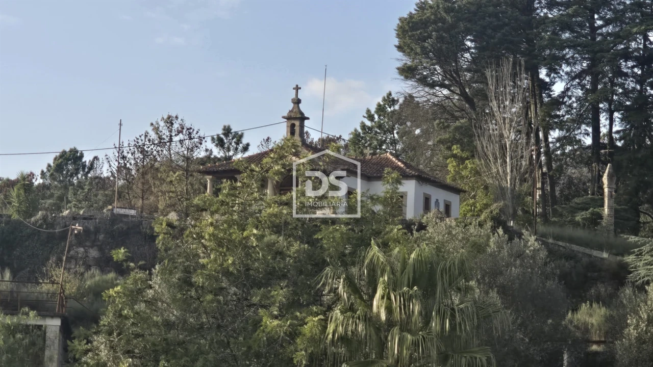 Negócio para Venda em Abrunhosa-A-Velha Foto 60