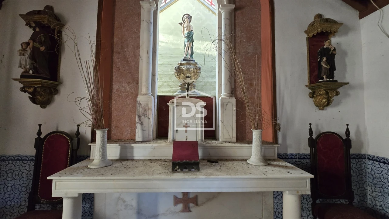 Negócio para Venda em Abrunhosa-A-Velha Foto 82