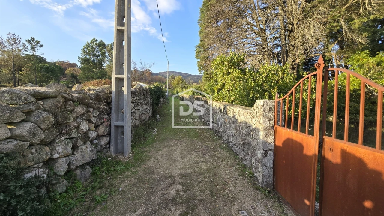 Negócio para Venda em Abrunhosa-A-Velha Foto 68