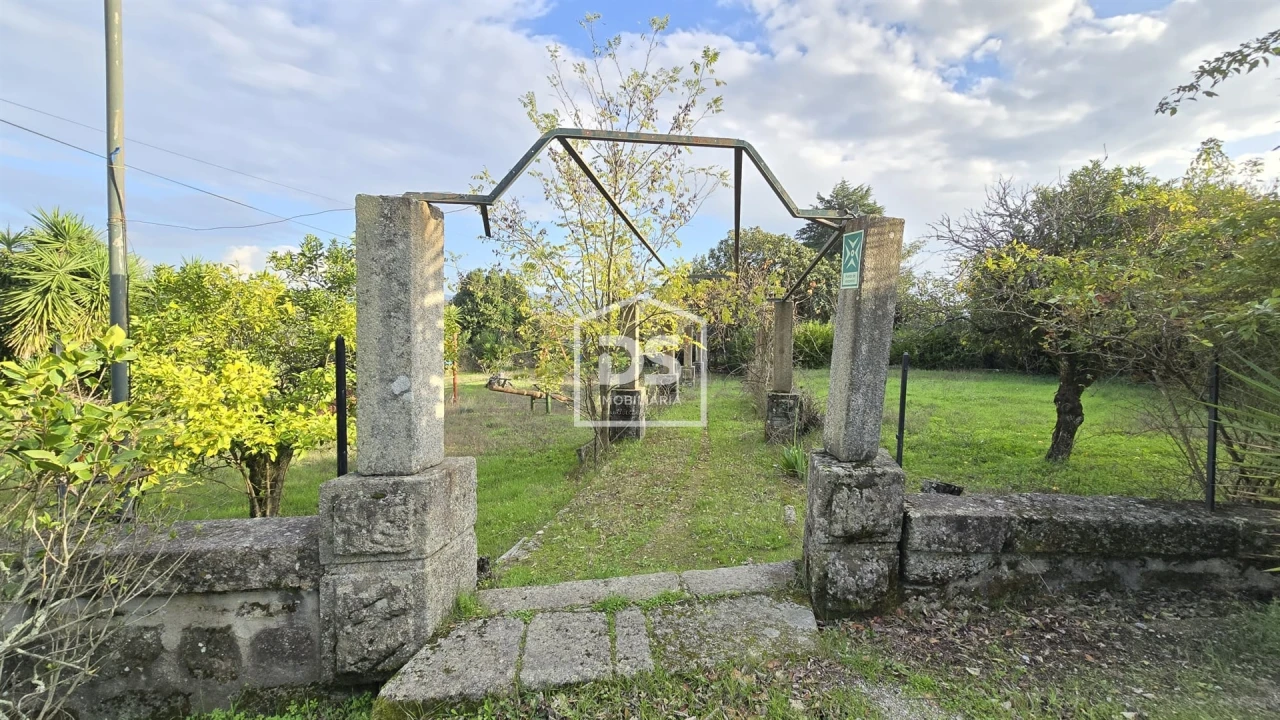 Negócio para Venda em Abrunhosa-A-Velha Foto 7