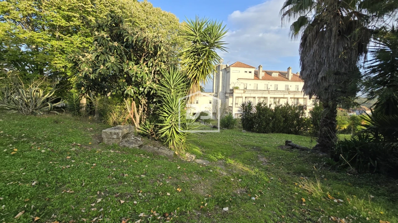 Negócio para Venda em Abrunhosa-A-Velha Foto 98