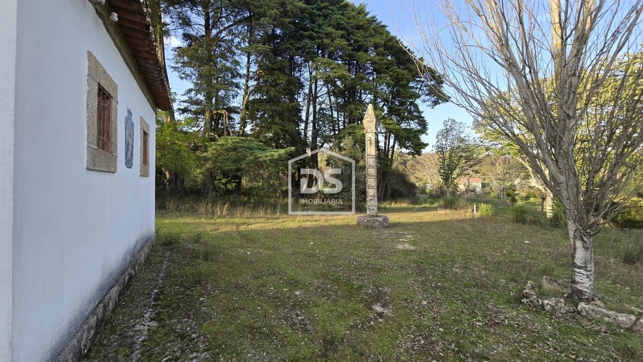 Negócio para Venda em Abrunhosa-A-Velha Foto 78