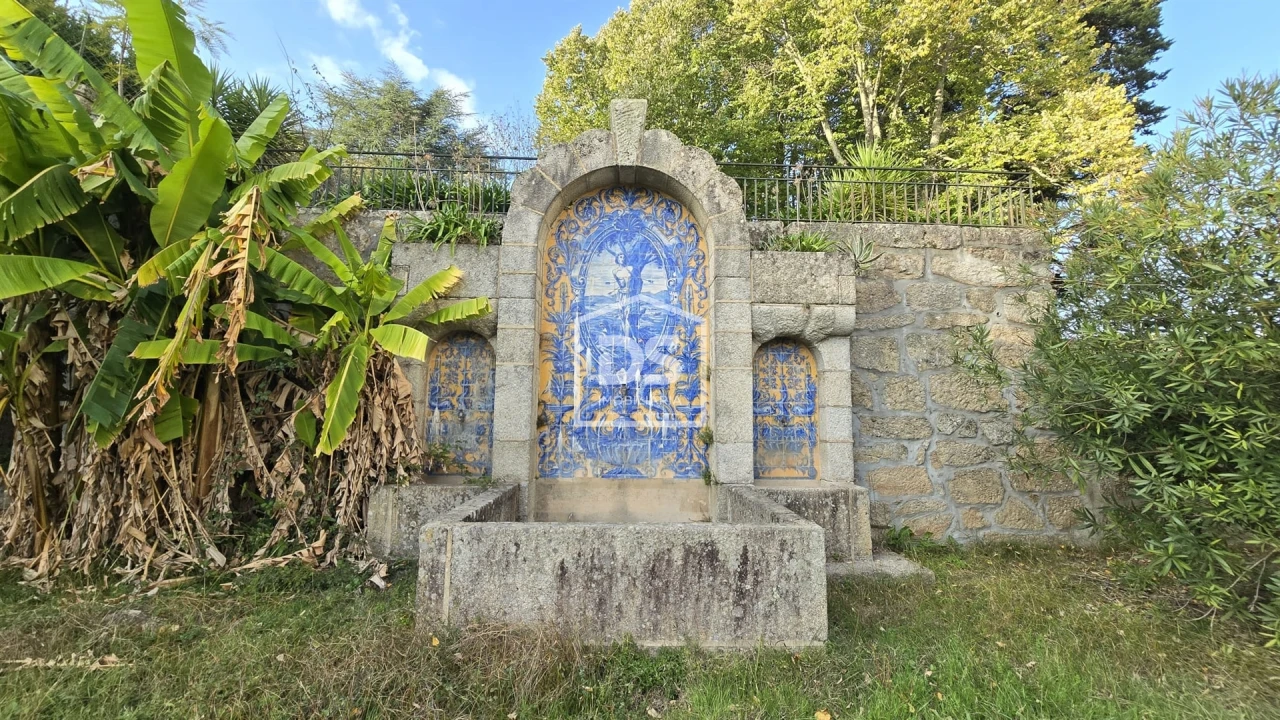 Negócio para Venda em Abrunhosa-A-Velha Foto 30