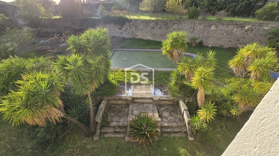 Negócio para Venda em Abrunhosa-A-Velha Foto 26