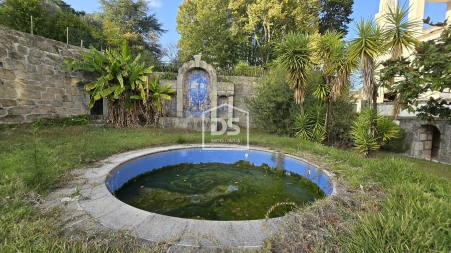 Negócio para Venda em Abrunhosa-A-Velha Foto 31