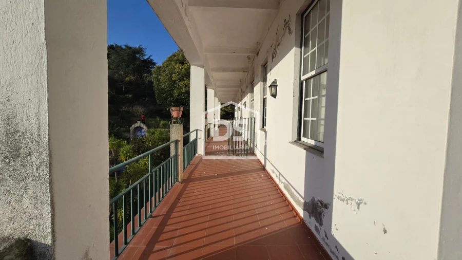 Negócio para Venda em Abrunhosa-A-Velha Foto 25