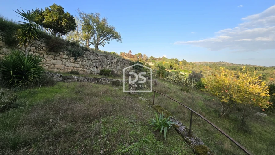 Negócio para Venda em Abrunhosa-A-Velha Foto 90
