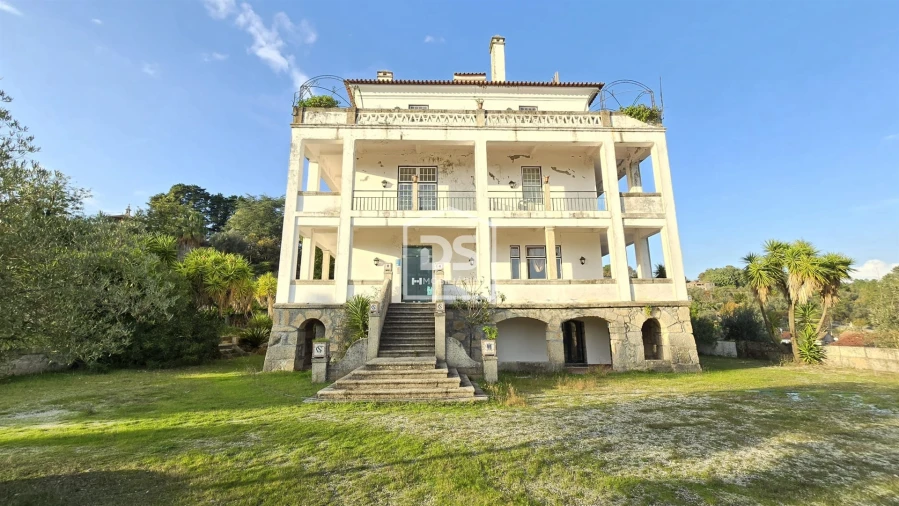 Negócio para Venda em Abrunhosa-A-Velha Foto 116