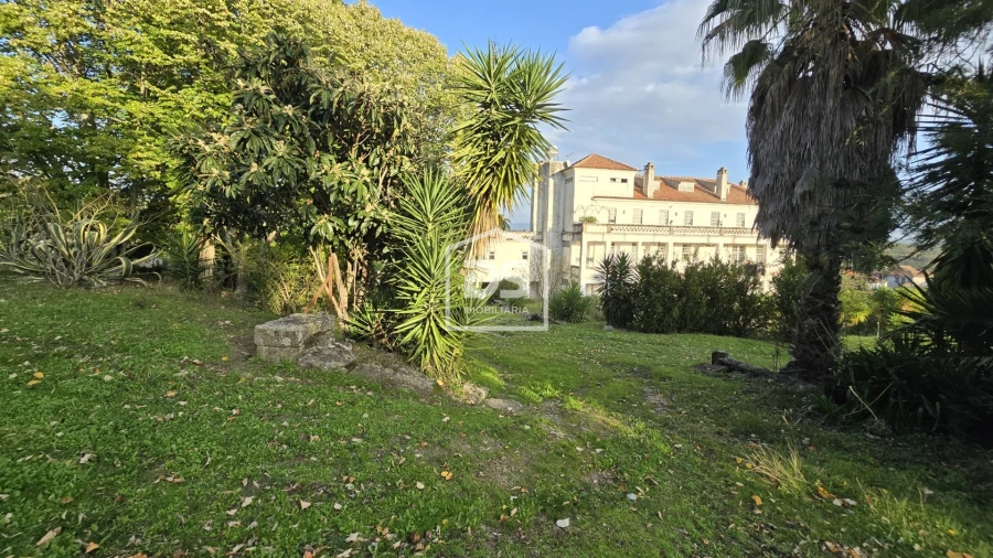 Negócio para Venda em Abrunhosa-A-Velha Foto 98