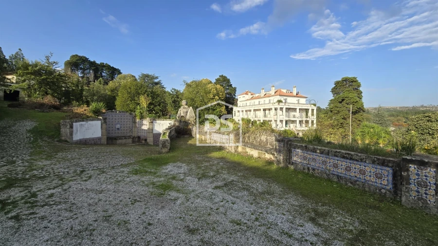 Negócio para Venda em Abrunhosa-A-Velha Foto 4