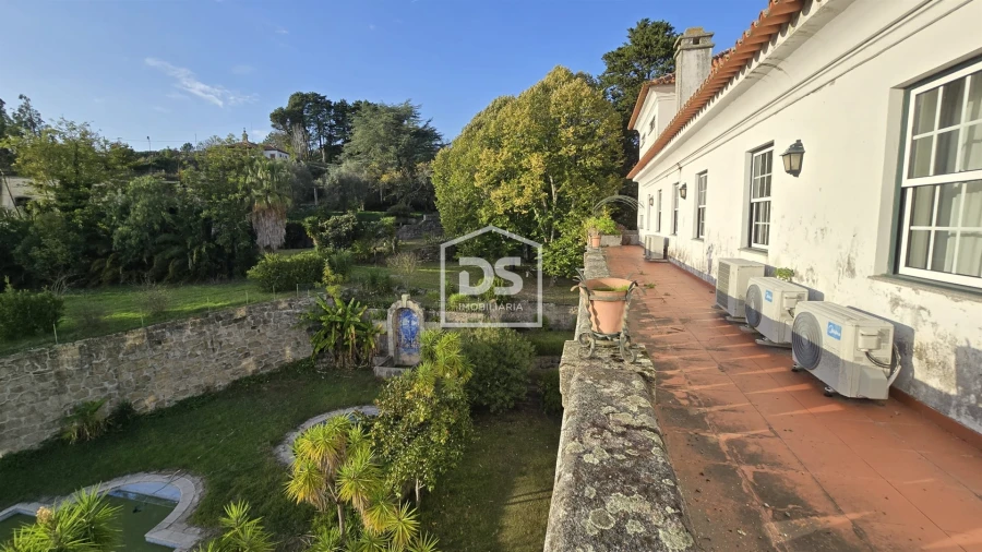 Negócio para Venda em Abrunhosa-A-Velha Foto 59