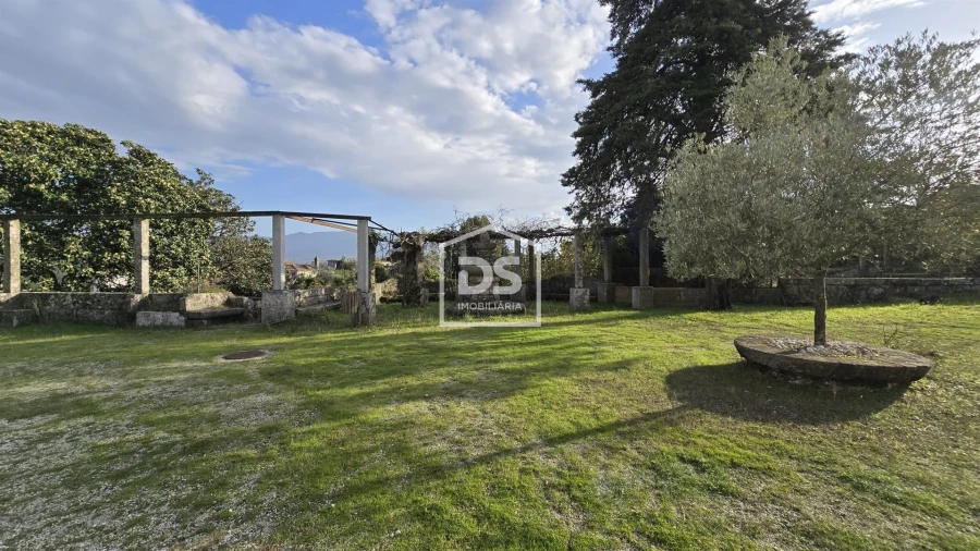 Negócio para Venda em Abrunhosa-A-Velha Foto 6