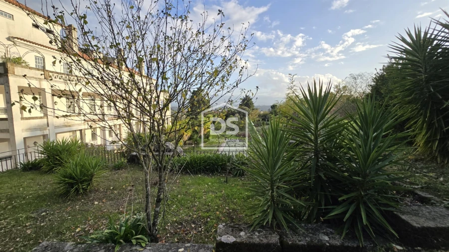 Negócio para Venda em Abrunhosa-A-Velha Foto 101