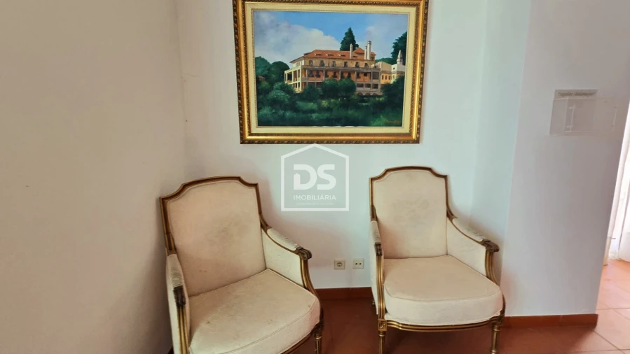 Negócio para Venda em Abrunhosa-A-Velha Foto 11