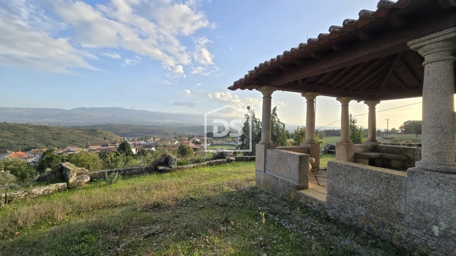 Negócio para Venda em Abrunhosa-A-Velha Foto 77