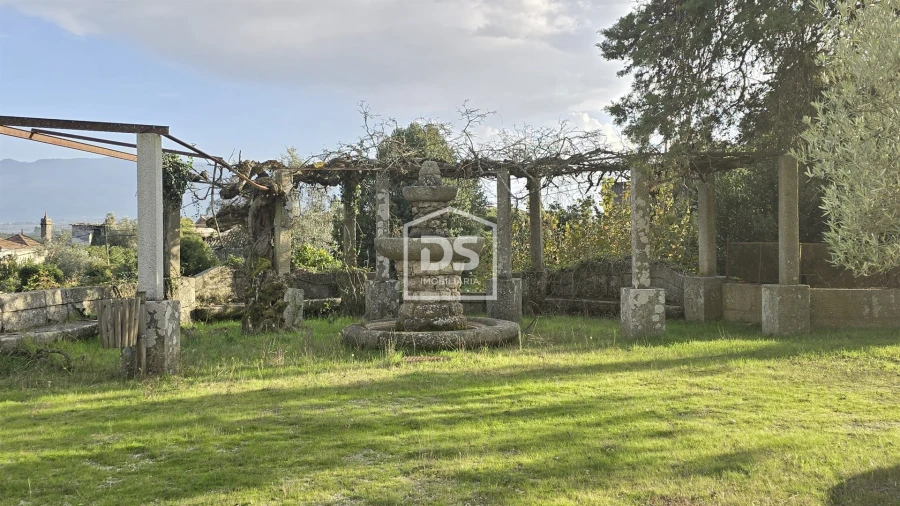 Negócio para Venda em Abrunhosa-A-Velha Foto 5