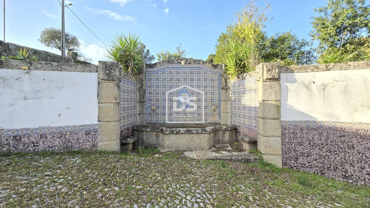 Negócio para Venda em Abrunhosa-A-Velha Foto 2