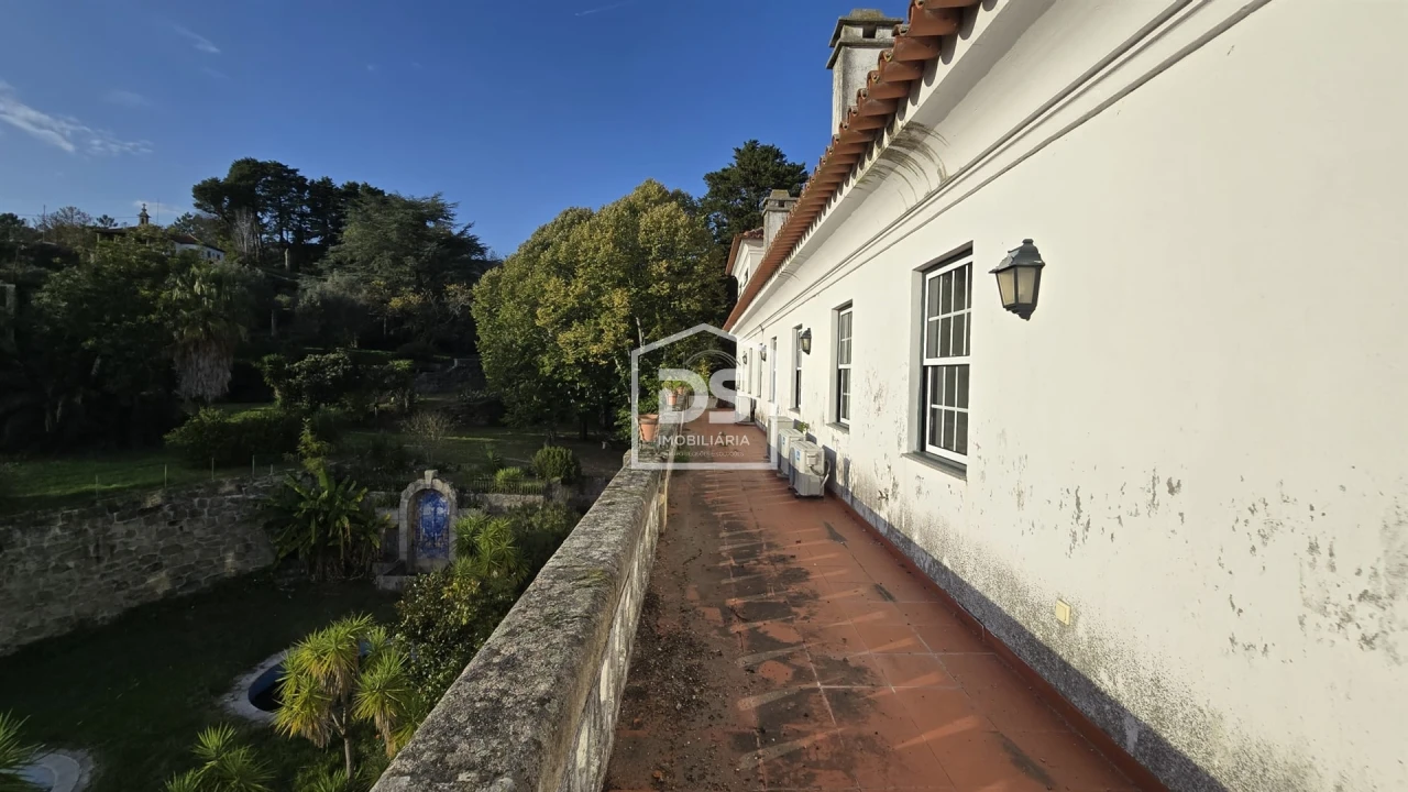 Negócio para Venda em Abrunhosa-A-Velha Foto 58