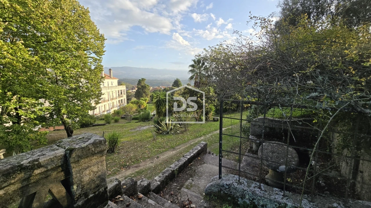 Negócio para Venda em Abrunhosa-A-Velha Foto 92