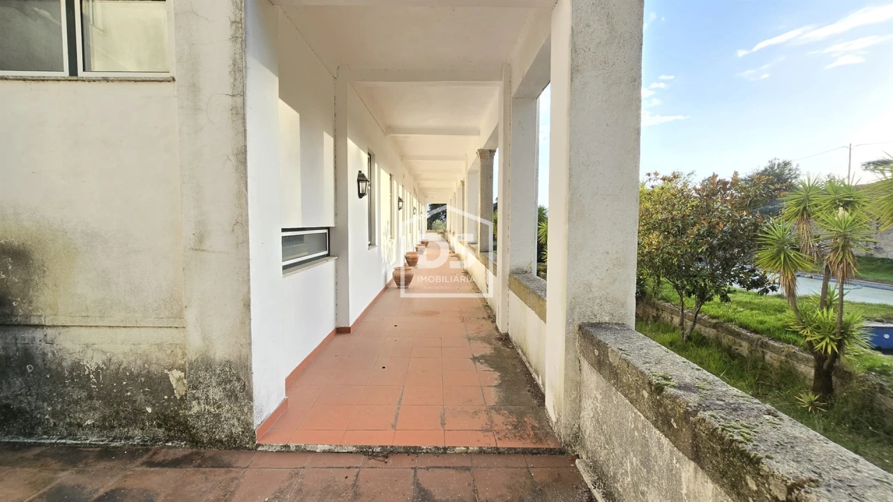 Negócio para Venda em Abrunhosa-A-Velha Foto 108