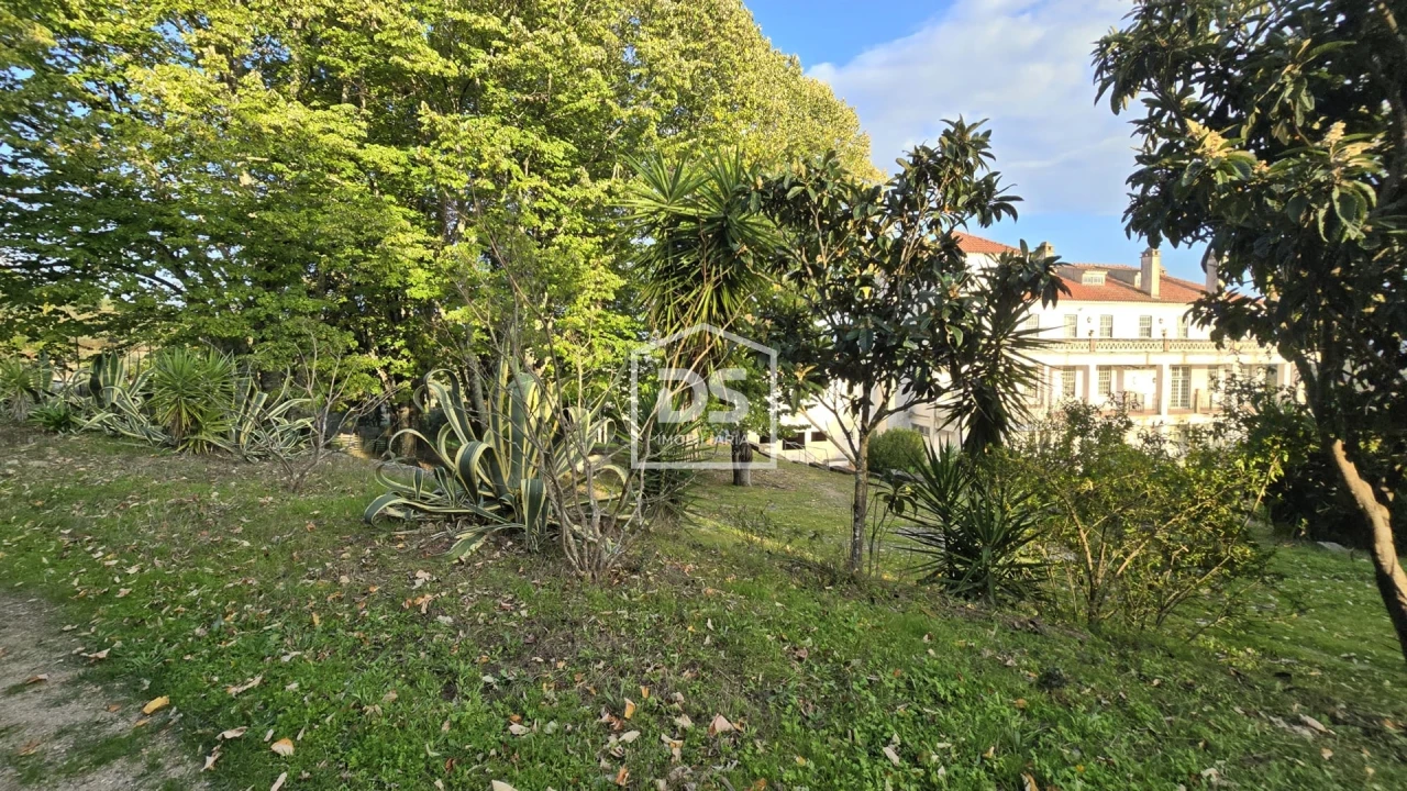 Negócio para Venda em Abrunhosa-A-Velha Foto 97