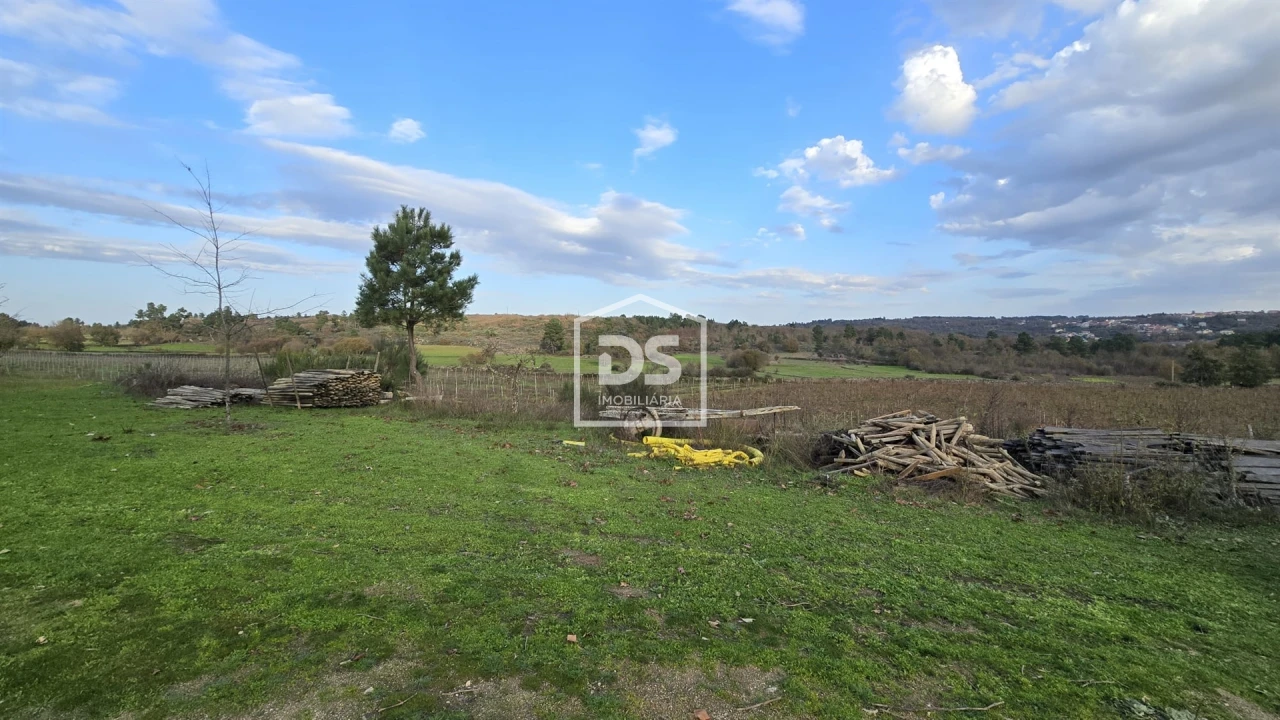 Quinta T0 para Venda em Moimentinha Foto 14