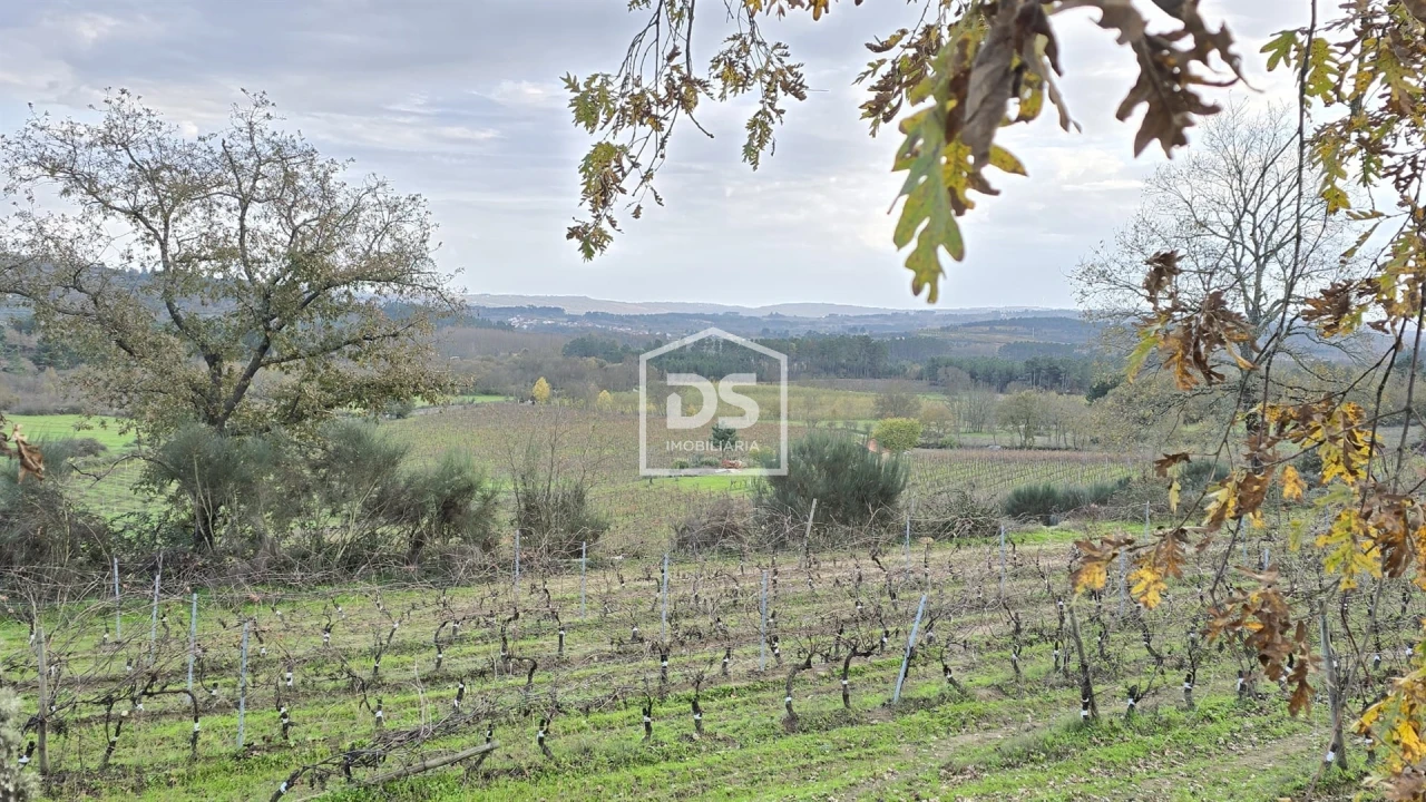 Quinta T0 para Venda em Moimentinha Foto 21