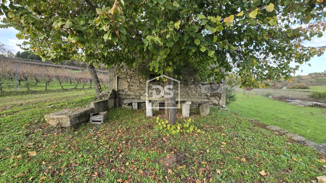 Quinta T0 para Venda em Moimentinha Foto 13