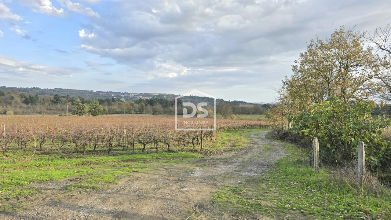 Quinta T0 para Venda em Moimentinha Foto 16