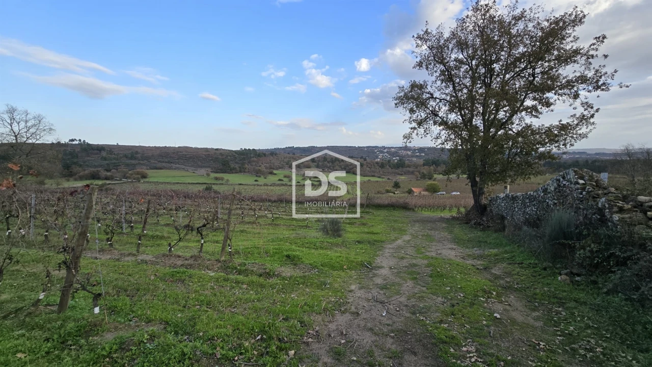 Quinta T0 para Venda em Moimentinha Foto 26