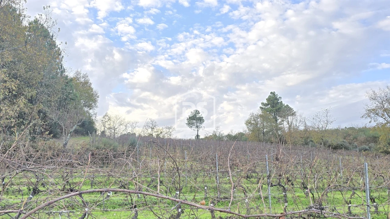 Quinta T0 para Venda em Moimentinha Foto 20