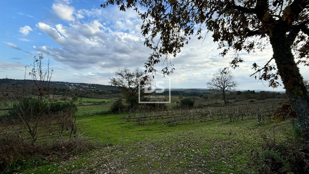 Quinta T0 para Venda em Moimentinha Foto 2