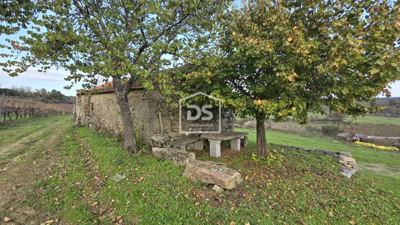 Quinta T0 para Venda em Moimentinha Foto 35