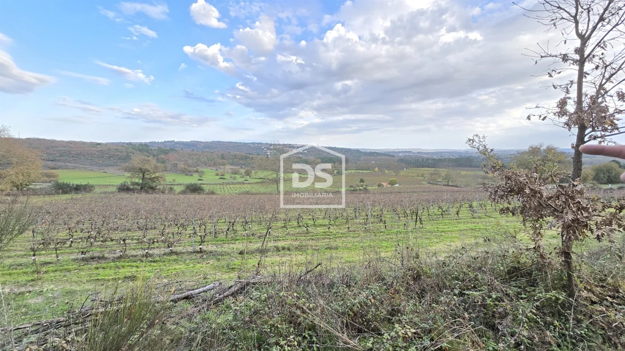 Quinta T0 para Venda em Moimentinha Foto 18