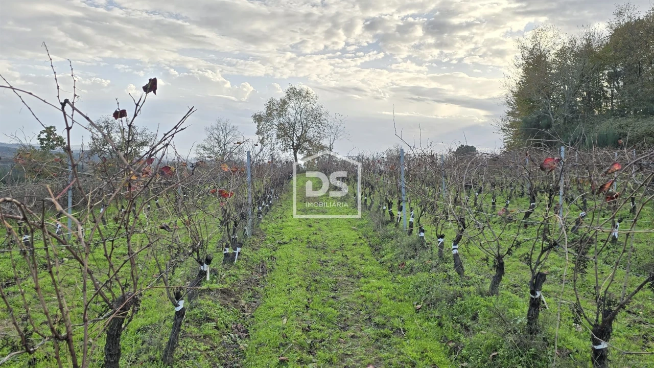 Quinta T0 para Venda em Moimentinha Foto 19