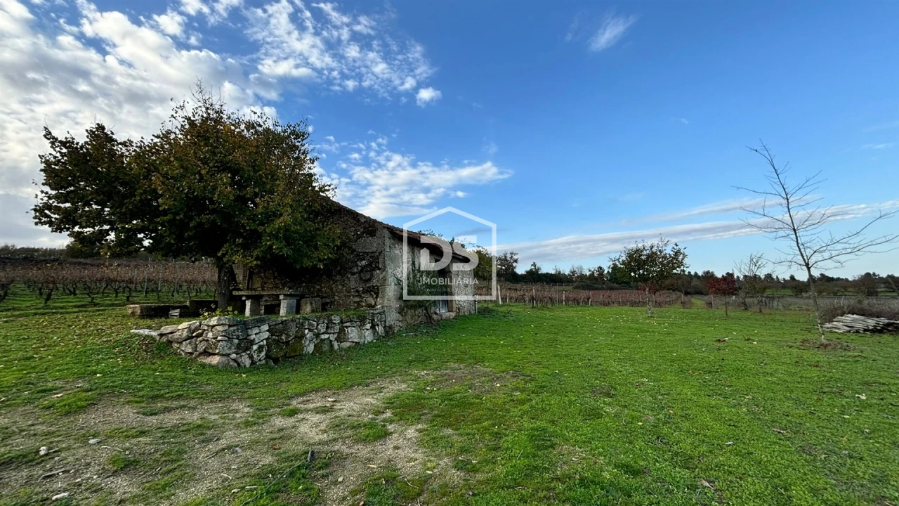 Quinta T0 para Venda em Moimentinha Foto 3