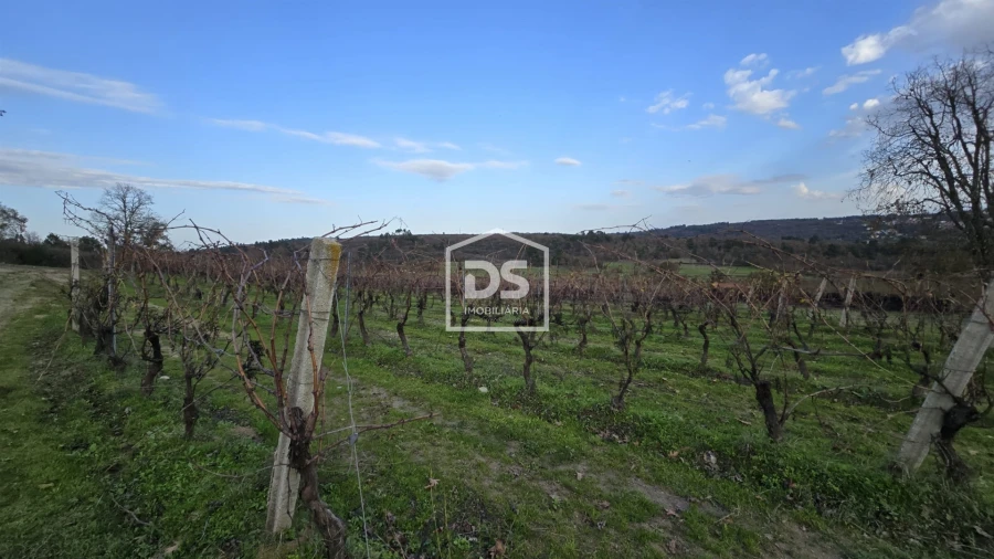 Quinta T0 para Venda em Moimentinha Foto 29