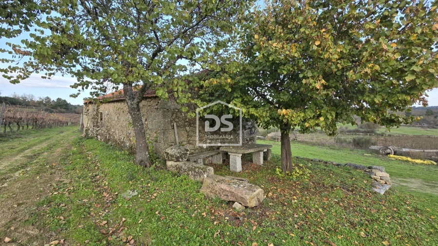 Quinta T0 para Venda em Moimentinha Foto 35