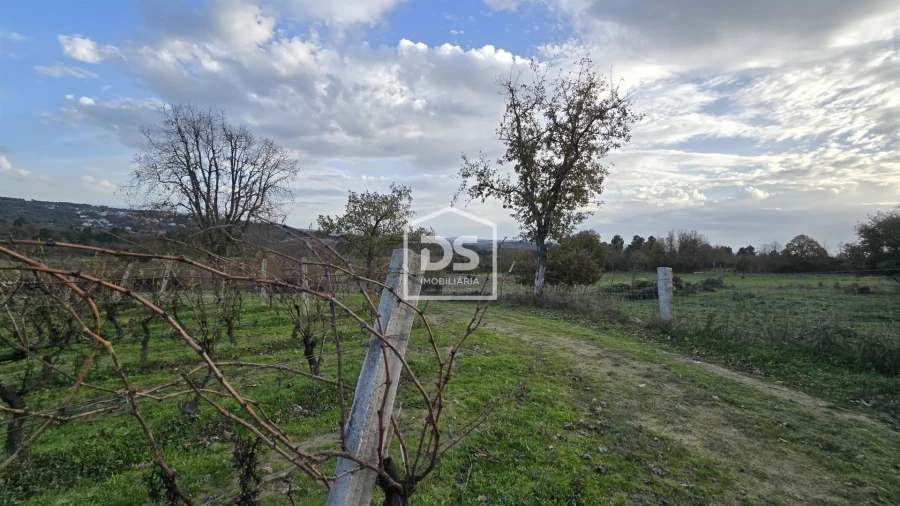 Quinta T0 para Venda em Moimentinha Foto 28